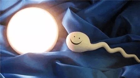 素竹生殖医学中心